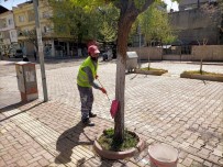 Gölbaşı Belediyesi Ağaçları Kireçliyor Haberi