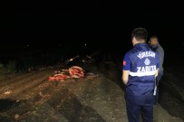 Adana'da Boş Arazide Kesilmiş 3 At Ele Geçirildi Haberi