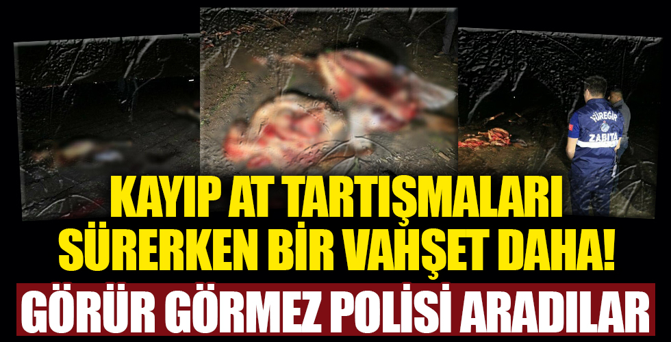 Adana'da kan donduran görüntü: Atların kesildiğini görenler polisi aradı