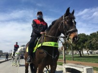 Bakırköy Sahilinde Atlı Polis Destekli Kısıtlama Denetimi