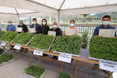 Efes Tarlası Yaşam Köyü'nde Üreticilere Fide