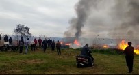 İznik Gölü Kıyısında Büyük Yangın Açıklaması 15 Dönüm Alan Kül Oldu Haberi