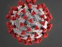 28 Nisan koronavirüs tablosu açıklandı!