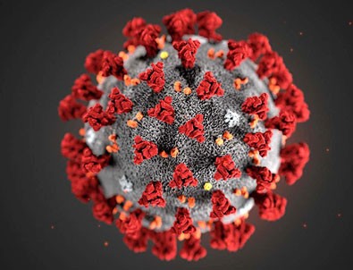 29 Nisan koronavirüs rakamları açıklandı!