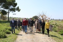 Akköy Serası Ziyaretçilerden İlgi Görüyor Haberi