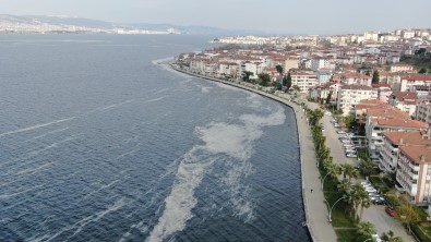 Deniz Salyası İzmit Körfezi'ni Beyaza Bürüdü