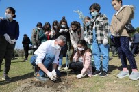 Gaziemirli Çocuklar, 200 Zeytini Toprakla Buluşturdu Haberi