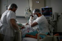 GİRESUN - Korkutan açıklama! 'Karadeniz'de mevcut mutasyonların dışında farklı bir mutasyon...'