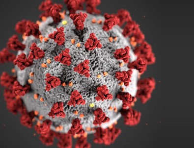 30 Nisan koronavirüs tablosu!