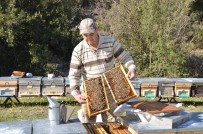 Antalya'da Arıcılar Yeni Sezona Hazırlanıyor Haberi
