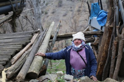 Artvin Ortaköy'de Evi Yanan Yaşlı Kadın 'Ben Nerede Kalacağım' Demişti, Vali Yardımcısı Aileyi Ziyaret Etti