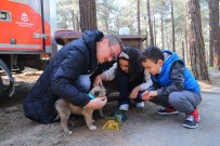 Başkan Kartoğlu, İki Yavru Sokak Köpeğini Sahiplendi Haberi
