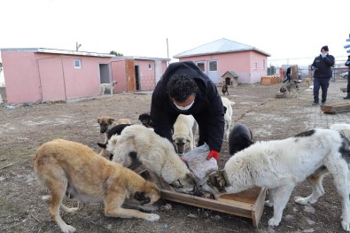 Başkan Demir,  4 Nisan Dünya Sokak Hayvanları Günü'nü Unutmadı