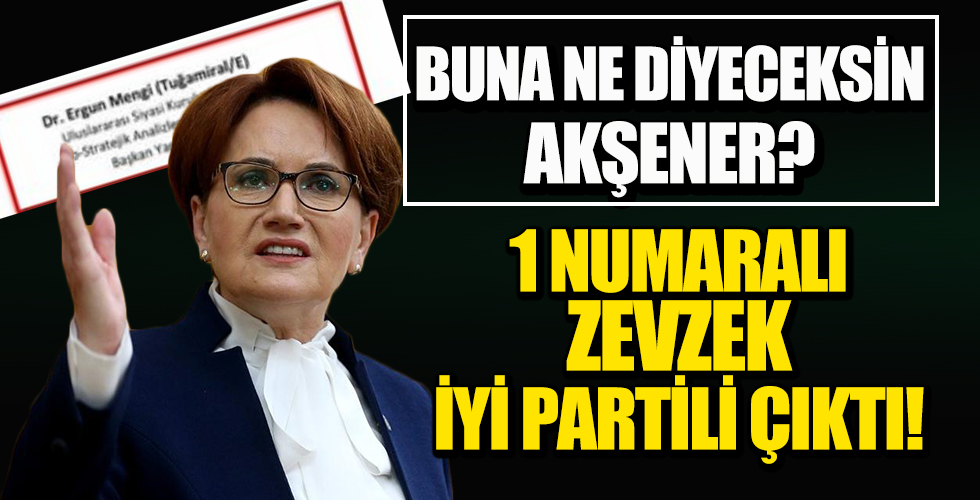 Darbe imalı bildiride ilk sıradaki isim İYİ Partili çıktı! Meral Akşener buna ne diyecek?