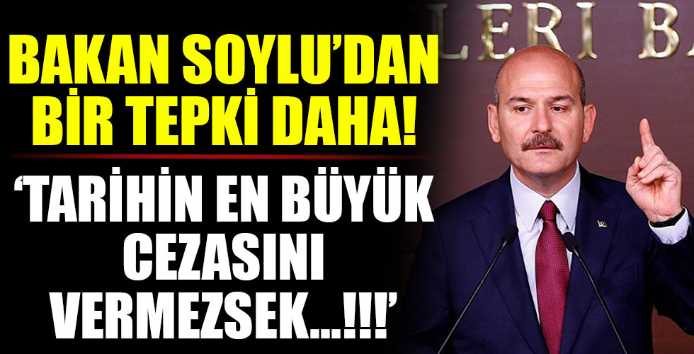 Bakan Soylu'dan hadsiz bildiriye bir tepki daha!