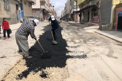 Belediye Çalışmaları Hız Verdi