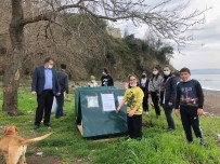 Fatsalı Öğrencilerden Sokak Hayvanlarına Kulübe Desteği Haberi