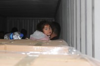 İzmir'de Bisküvi Taşıyan Konteyner İçerisinde Çok Sayıda Kaçak Göçmen Yakalandı Haberi