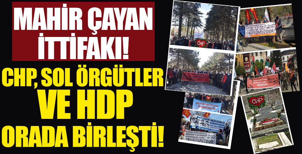 Mahir Çayan ittifakı! CHP, sol örgütler, HDP ile Çayan’ın mezarında birleşti