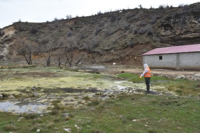 Tatvan'daki Park Ve Yeşil Alanlarda Lavra İlaçlama Çalışması