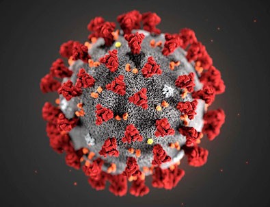 Türkiye'nin koronavirüs tablosu açıklandı!