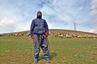 Yüksekova'da Karların Erimesiyle Koyunlar Meralara Çıkmaya Başladı