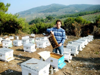 Avukattan Organik Üretim