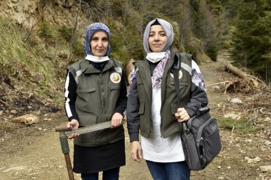 Ellerinin Hamuruyla Ormanları Koruyorlar