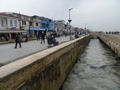 Sahilde Korkutan Manzara