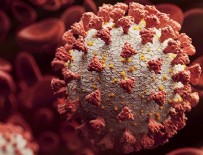 Virüste son durum açıklandı!