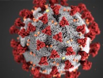 8 Nisan koronavirüs verileri açıklandı!