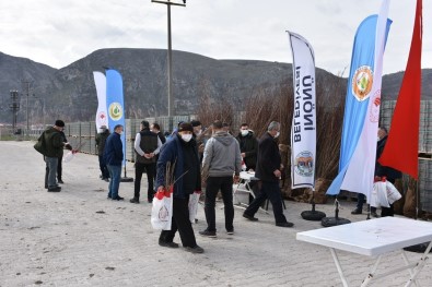 İnönü'de Ücretsiz Dağıtılan Fidanlar Nefes Olacak