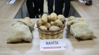 Niğde'de Geliştirilen Yerli Patates Tohumu Avrupa Yolunda Haberi