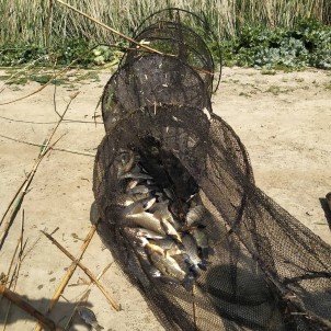 Söke'de İç Sularda Yasak Balık Avı Denetimleri Sürüyor