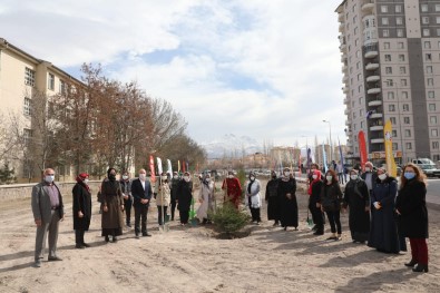 Başkan Çolakbayrakdar Sözünü Tuttu, Mithatpaşa'ya Yeni Park