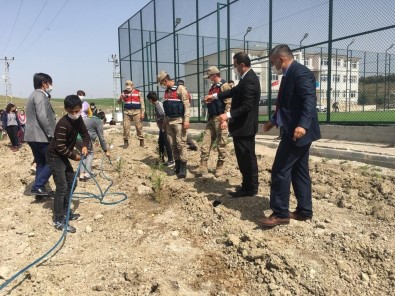 Öğretmen Ve Öğrenciler Fidan Diktiler