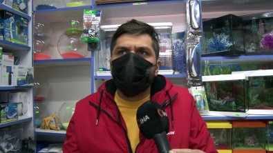 (Özel) Önce Alışveriş Yaptılar, Ardından Oyuncak Çalıp Kaçtılar