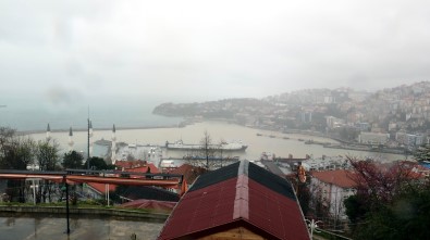 Zonguldak Limanı Sarıya Boyandı