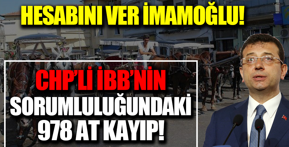 CHP'li İBB’nin sorumluluğundaki 978 at kayıp: Sonuna kadar takipçisi olacağız