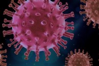 Sağlık Bakanlığı 1 Mayıs 2021 koronavirüs vaka ve vefat tablosunu paylaştı