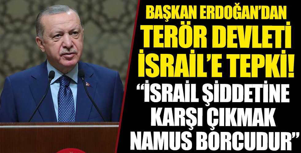 Başkan Erdoğan'dan normalleşme takvimi açıklaması