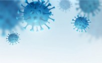 Sağlık Bakanlığı 14 Mayıs koronavirüs vaka ve vefat tablosunu paylaştı | Kovid-19 son durum