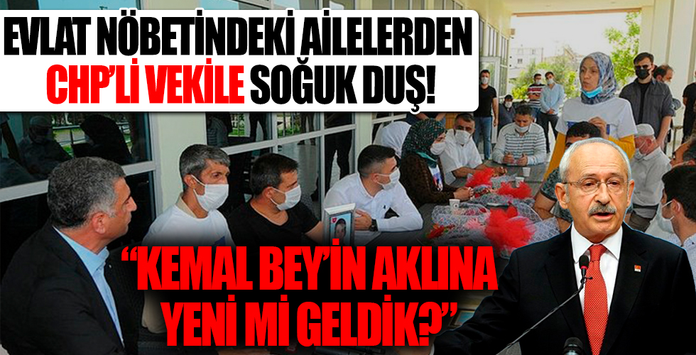 Diyarbakır Anneleri'nden CHP'li vekile şok! Kemal Bey’in aklına şimdi mi geldik