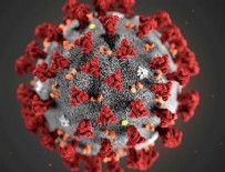 16 Mayıs koronavirüs tablosu açıklandı!