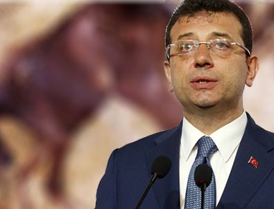 İstanbul Büyükşehir Belediyesi'nde kalan 115 attan biri daha öldü!