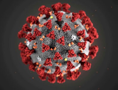 İşte 17 Mayıs koronavirüs tablosu!