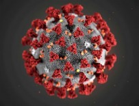 İşte 17 Mayıs koronavirüs tablosu!