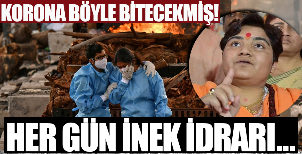 Hindistanlı milletvekilinden koronavirüse karşı inek idrarı tavsiyesi