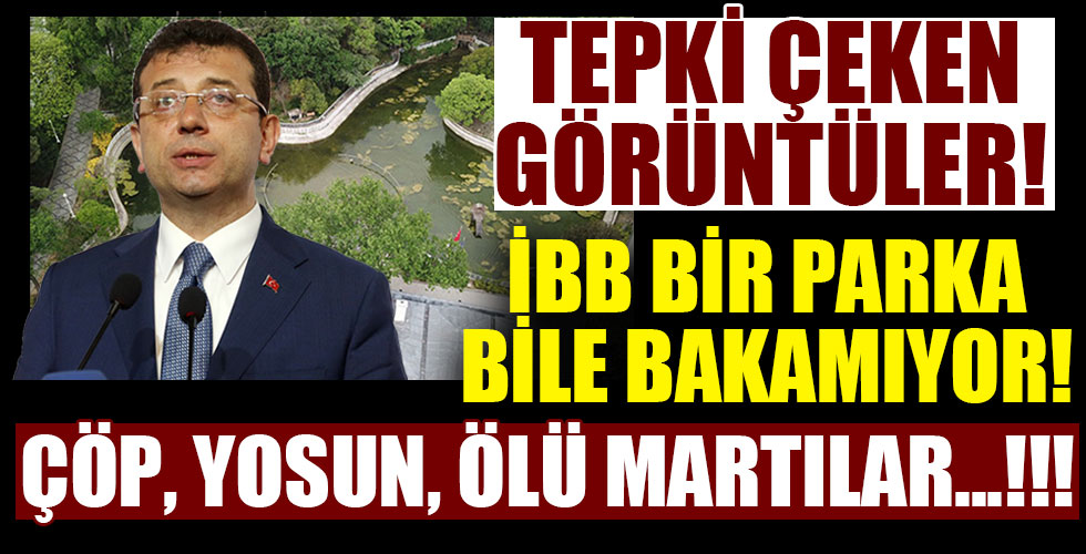 Yıldız Parkı'nda tepki çeken görüntü!