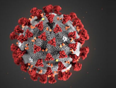 19 Mayıs koronavirüs tablosu açıklandı!